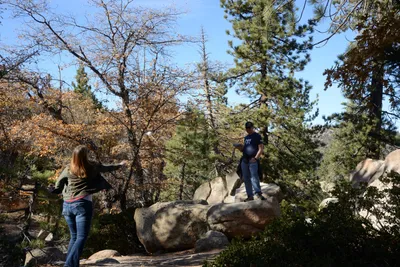 DSC_5143 (Large).JPG